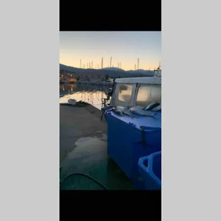 Falcone Marinu